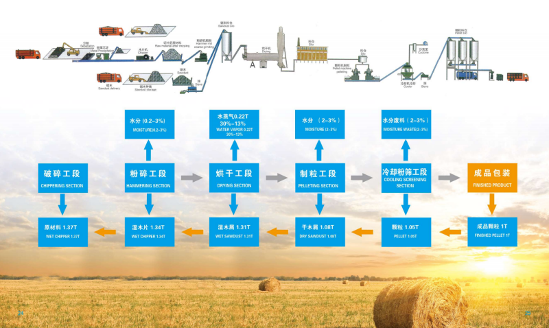 6686宣传册_13 - 副本.png